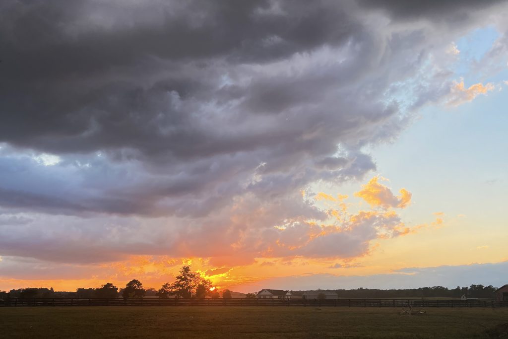 Finding Balance: Embracing Homesteading and Modern Comforts